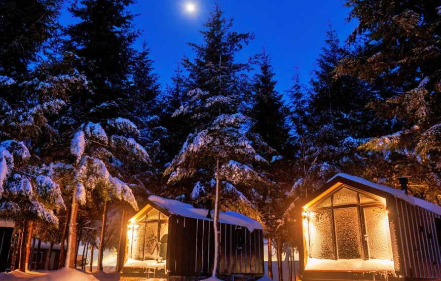 Kartepe Sisli Vadi Tumba